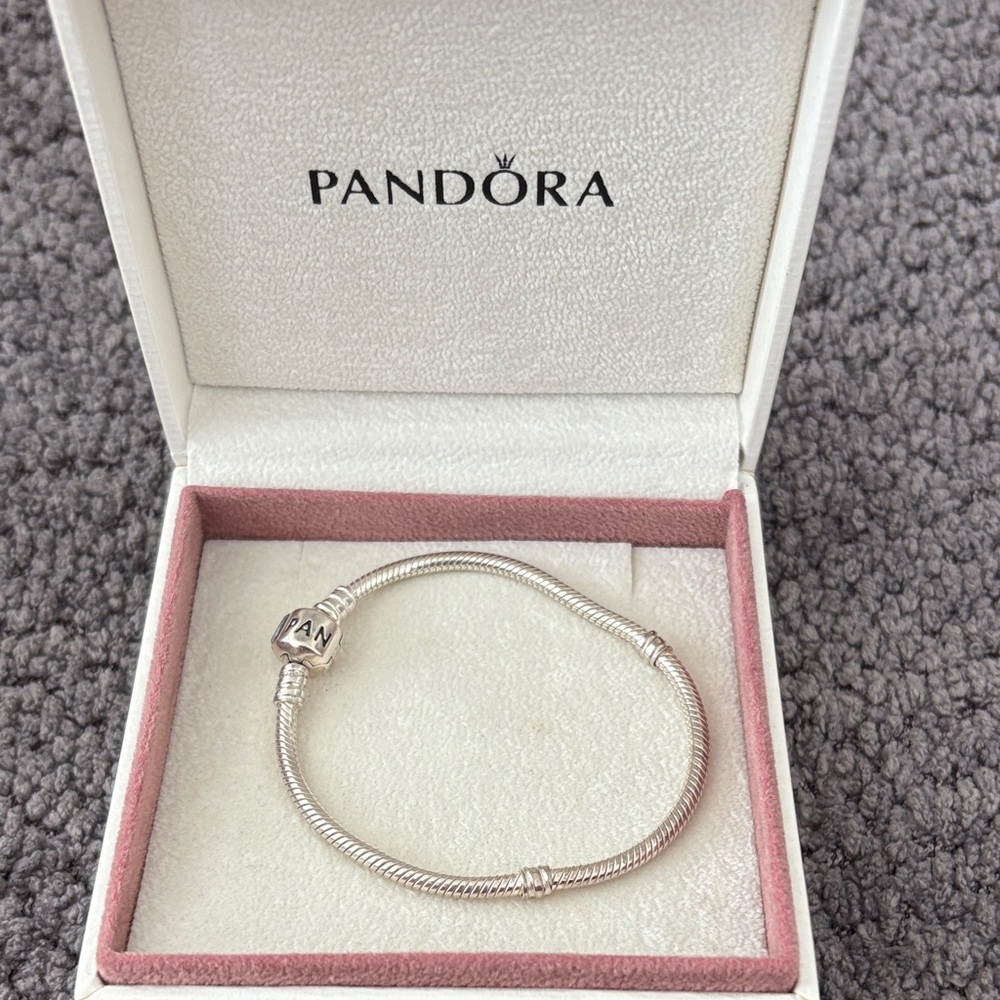 Pandora Sterling Silver Charm Bracelet